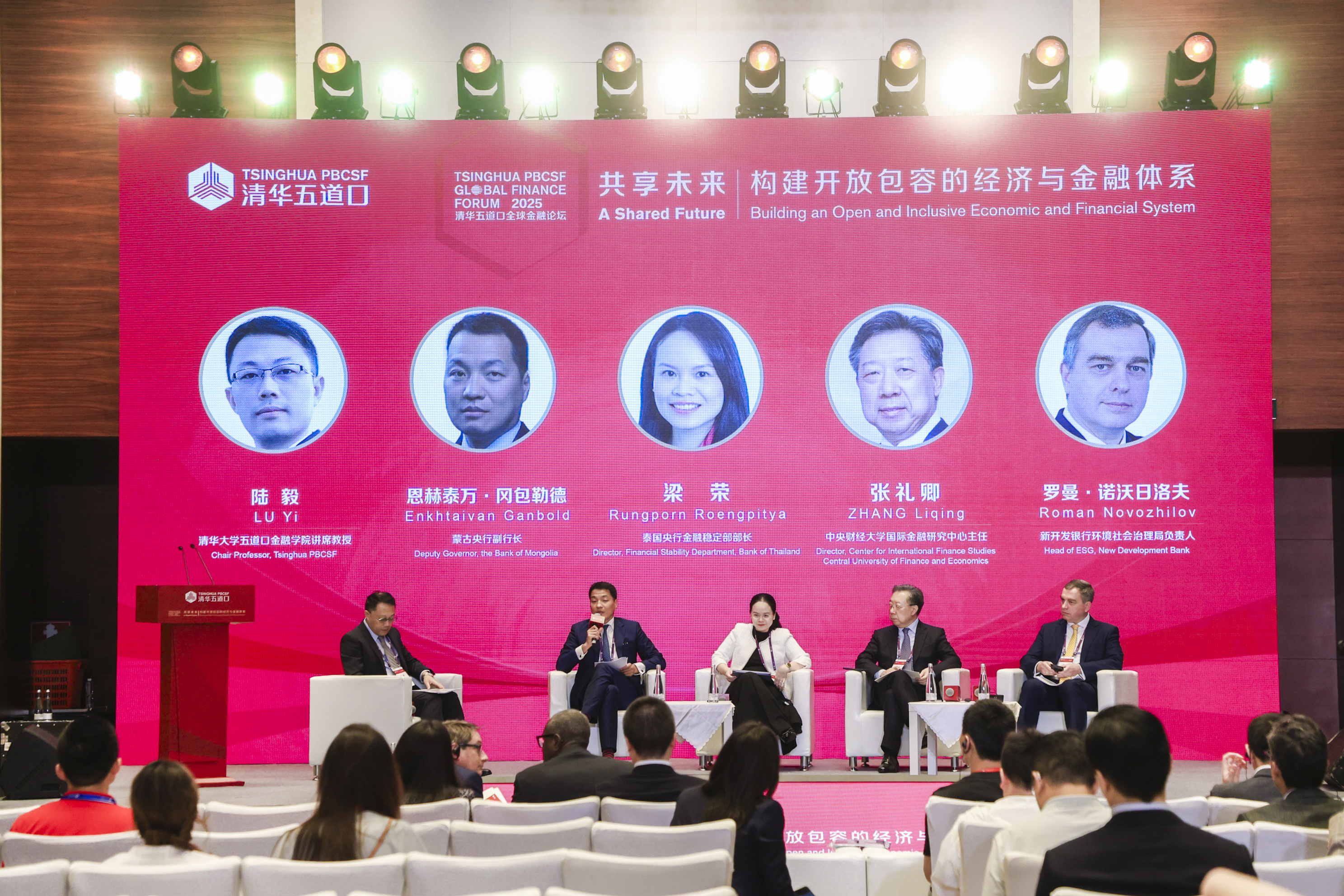 20250517-2025永利五道口全球金融论坛主题讨论六丨新兴市场债务危机与金融治理-金融学院-现场图.jpg