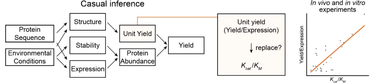 20260624-药学院-学院供稿-图2.png